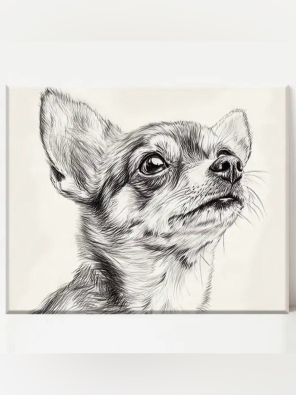 Charming Black & White Chihuahua Art Print Canvas - Pets Dog Wall Decor